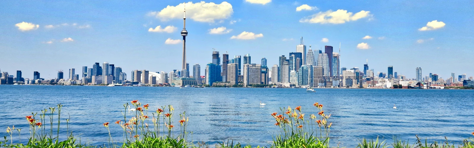 Things To Do In Toronto